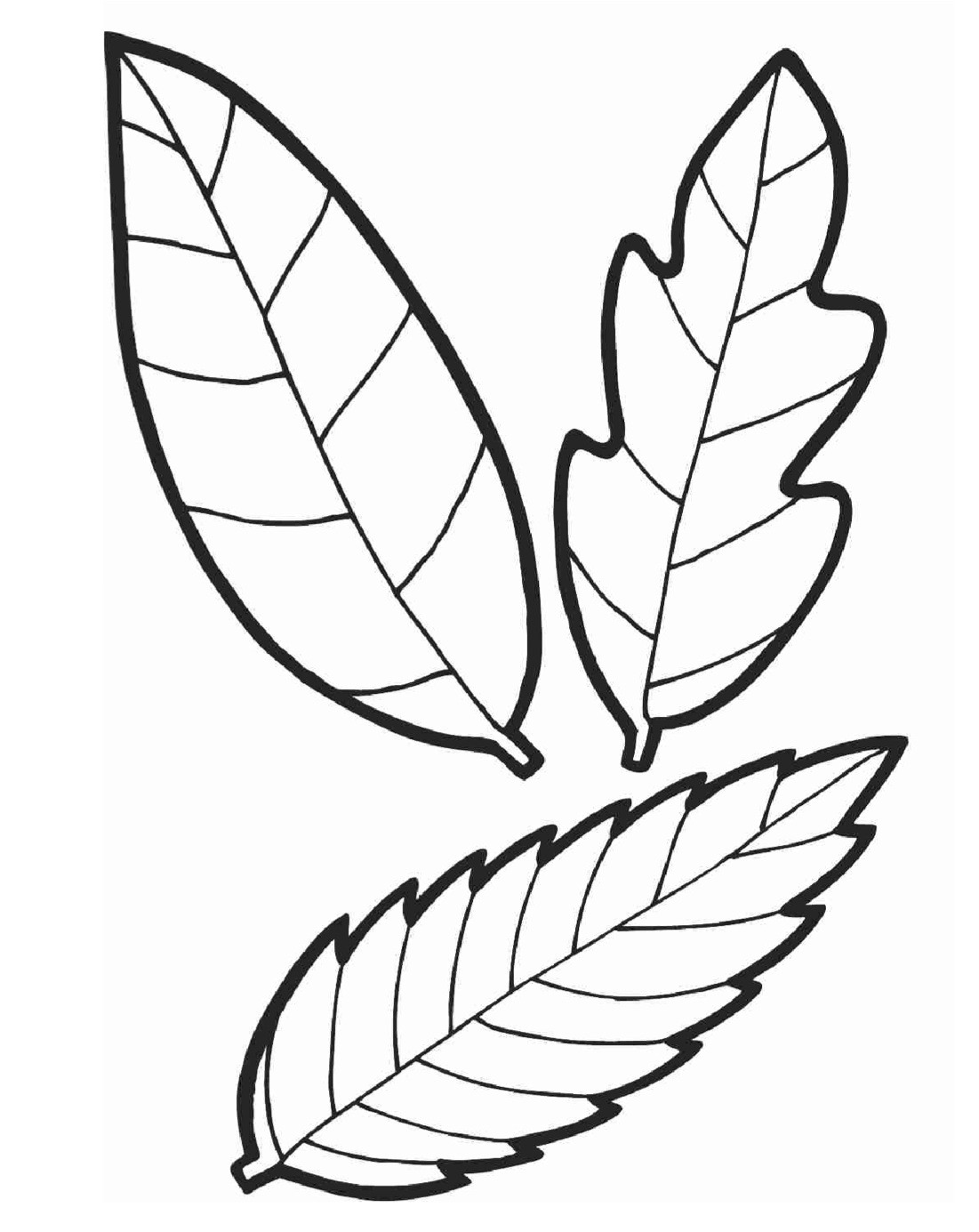 осенние листья для раскраски и вырезания