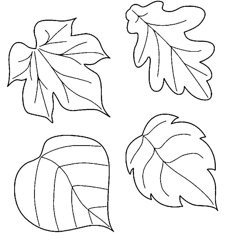 распечатать раскраски листьев 4