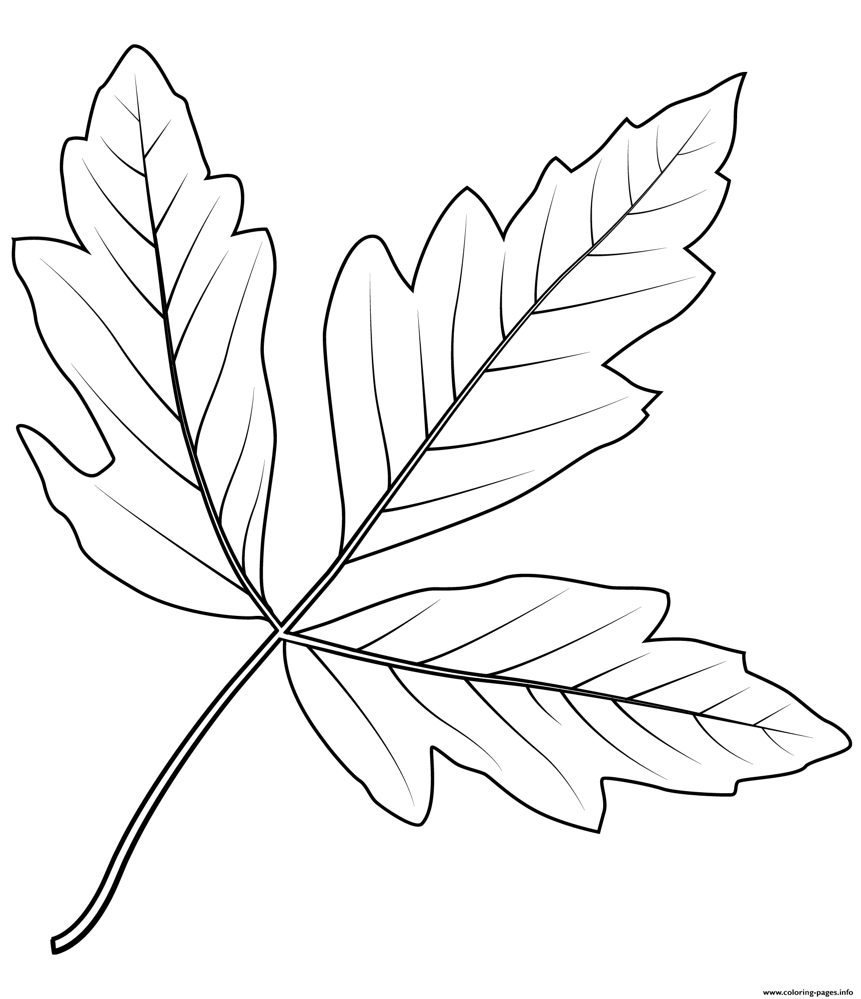 простые осенние листья раскраска для детей 2