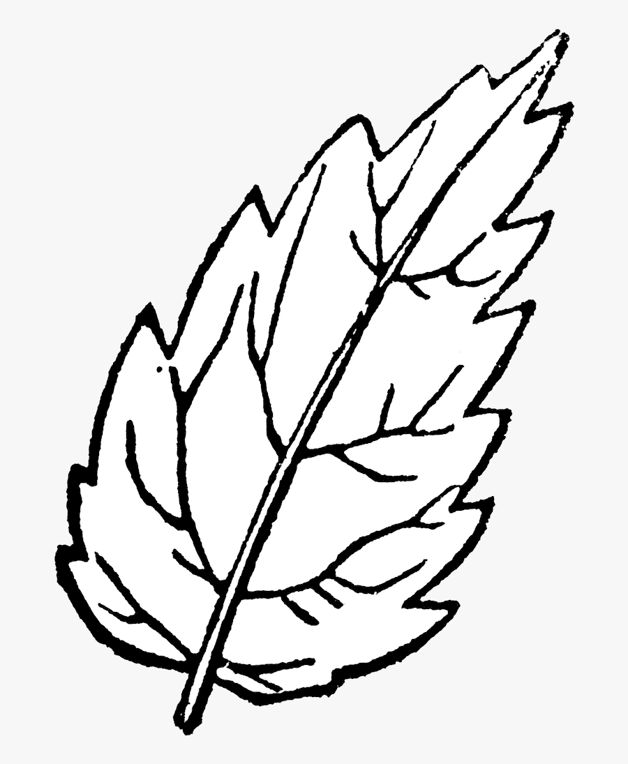 простые осенние листья раскраска для детей 4