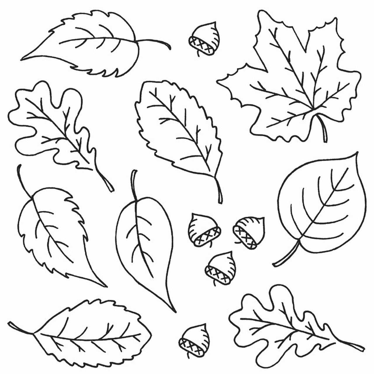 простые осенние листья раскраска для детей 7