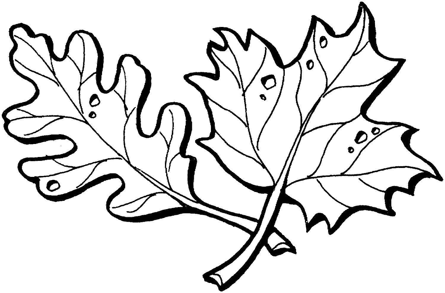 осенние листья для раскраски и вырезания 5