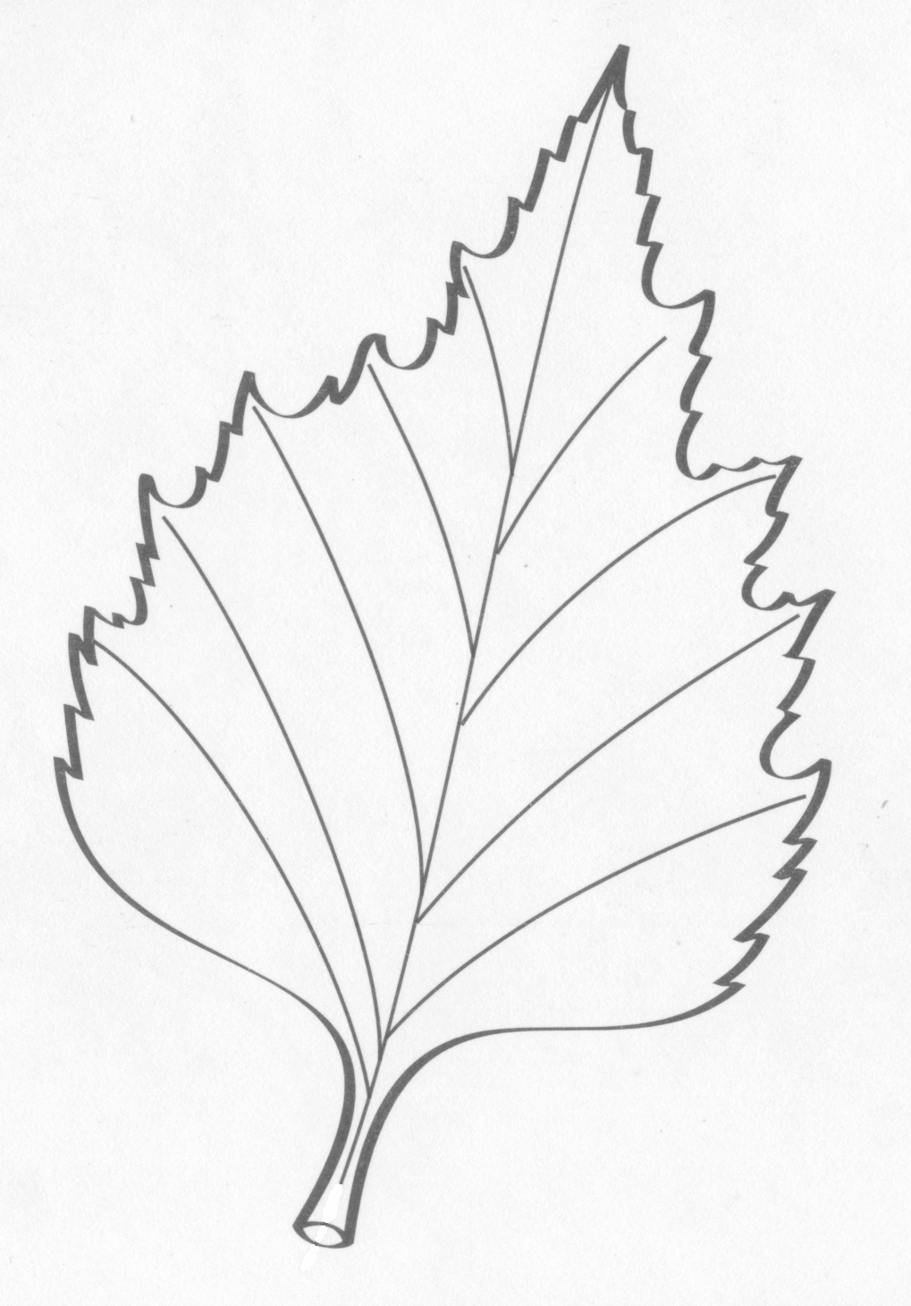 простые осенние листья раскраска для детей распечатать 2