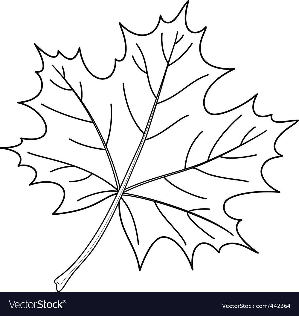 простые осенние листья раскраска для детей распечатать 4