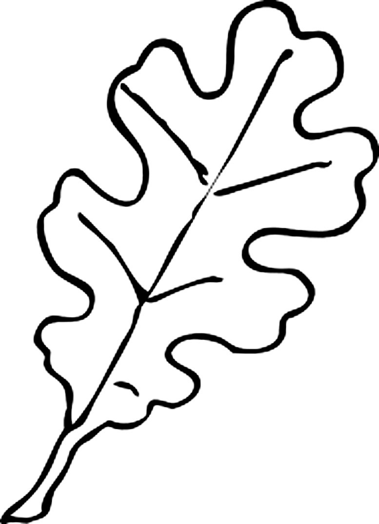 простые осенние листья раскраска для детей распечатать 5