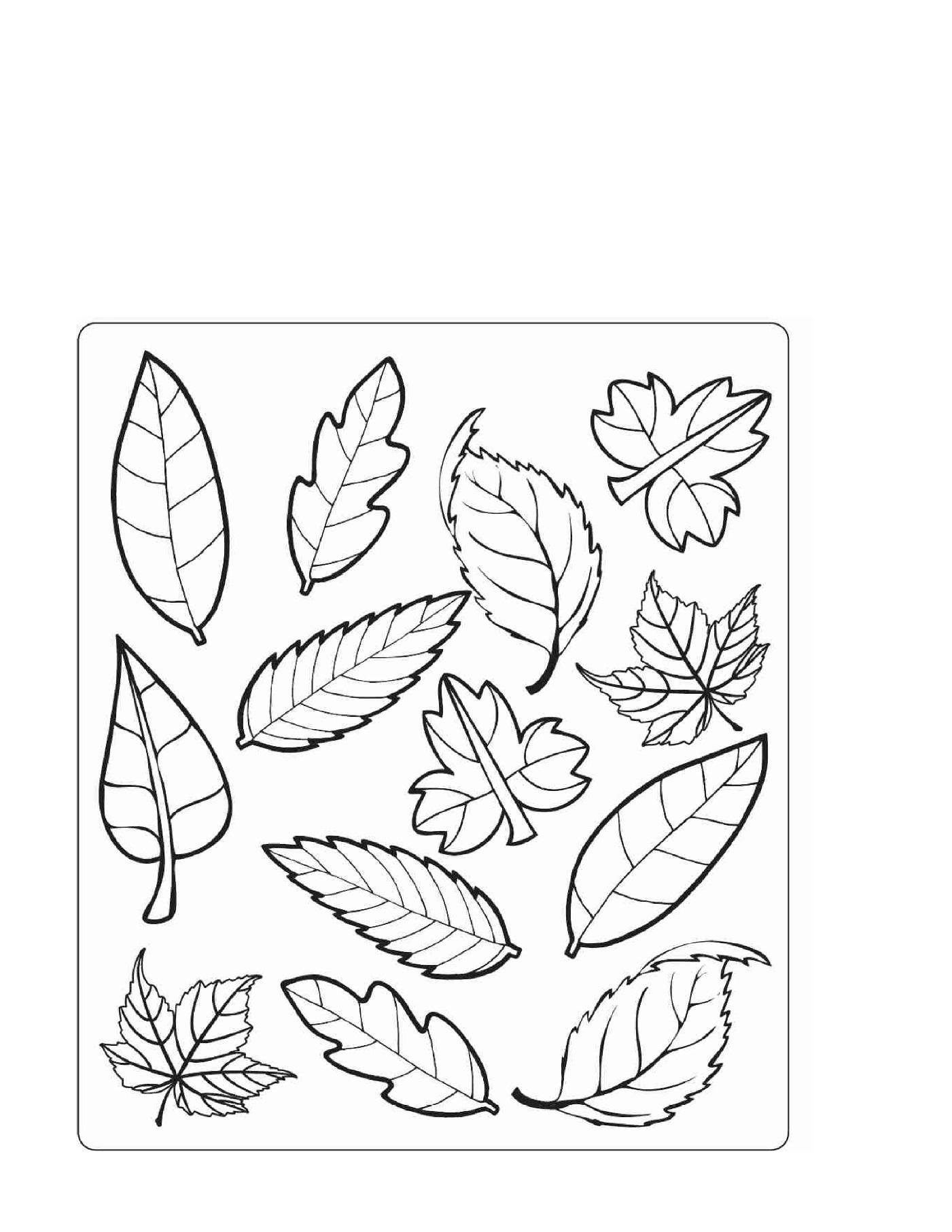 осенние листья для раскраски и вырезания 6