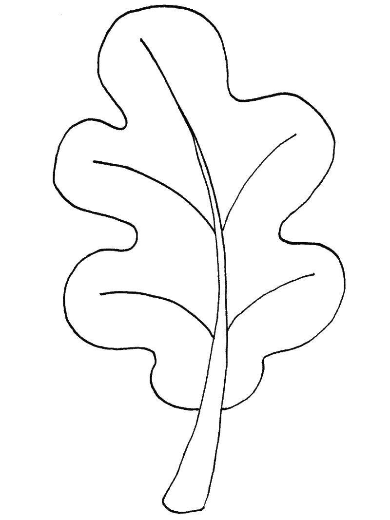 простые осенние листья раскраска для детей распечатать 9