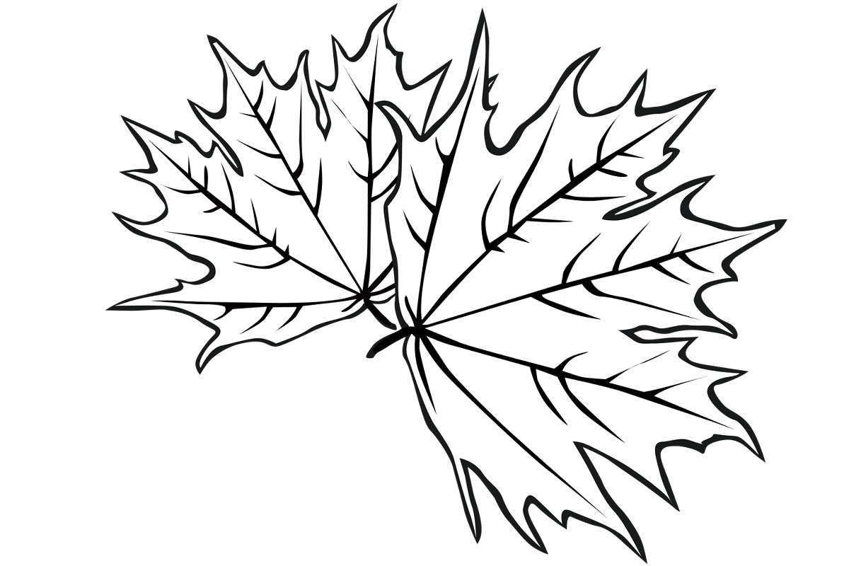 простые осенние листья раскраска для детей распечатать 10
