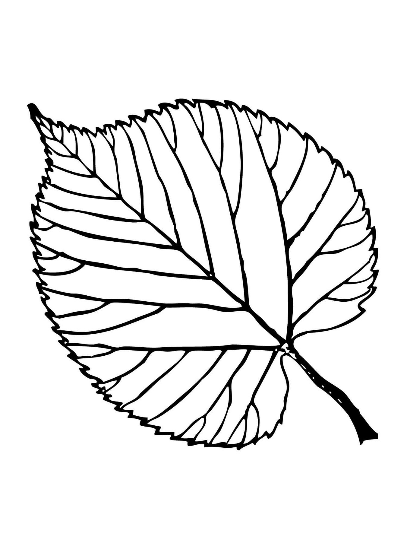 осенние листья раскраска для детей распечатать шаблоны