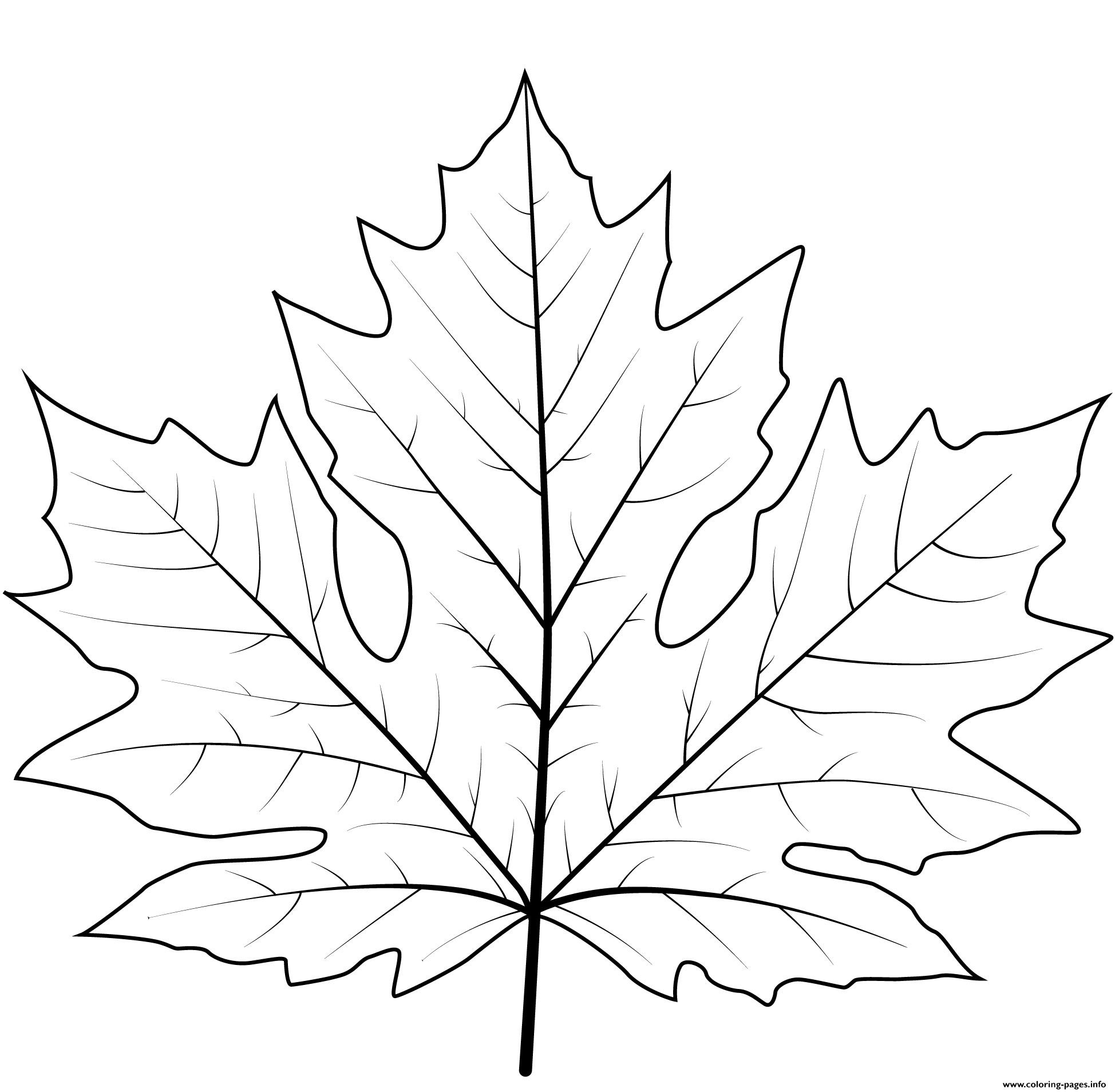 осенние листья раскраска для детей распечатать шаблоны 2