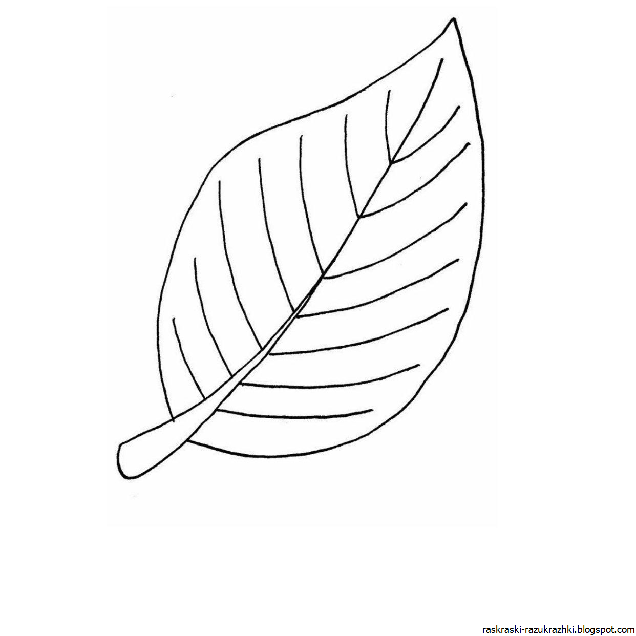 осенние листья раскраска для детей распечатать шаблоны 6