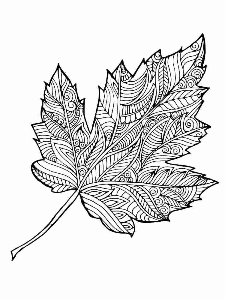листья раскраска для детей антистресс