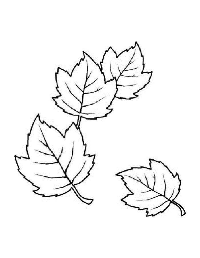 осенние листья раскраска для детей распечатать 5