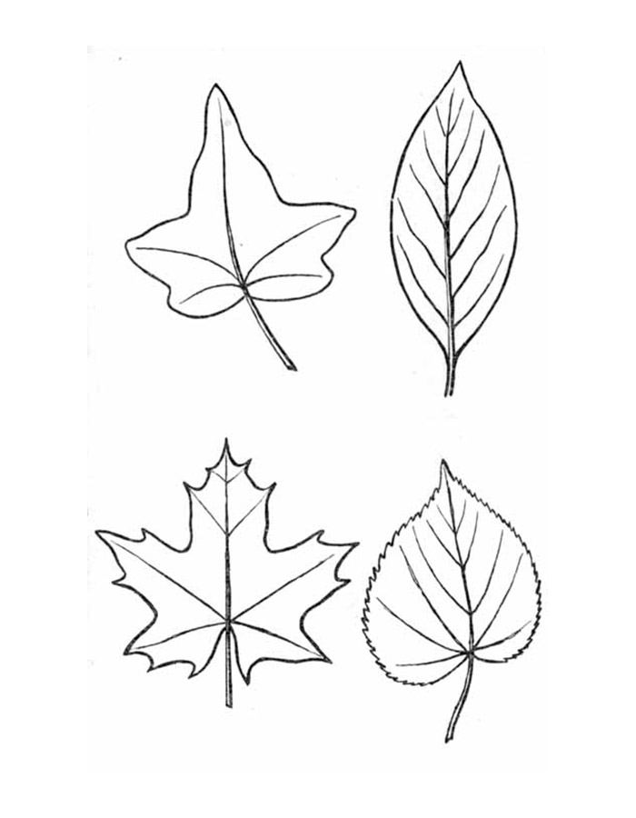 осенние листья раскраска для детей распечатать 6