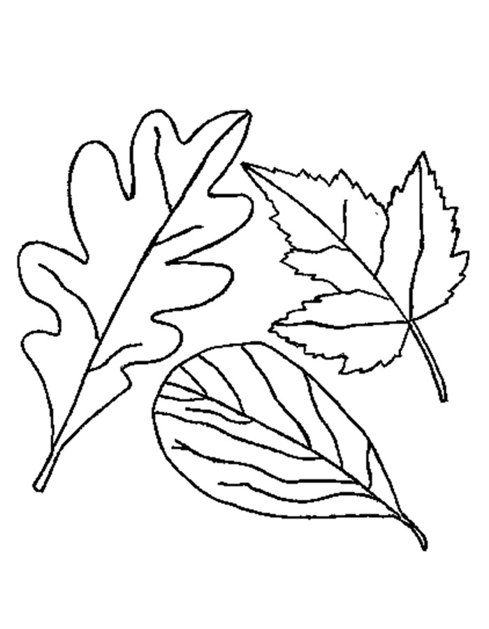 осенние листья раскраска для детей распечатать 8