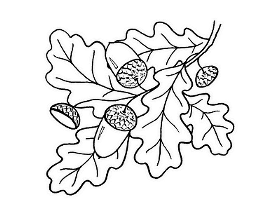 осенние листья раскраска для детей распечатать 9