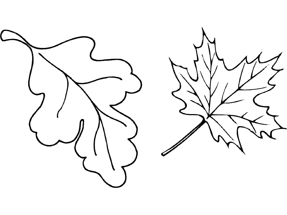 раскраски осенние листья распечатать бесплатно 4