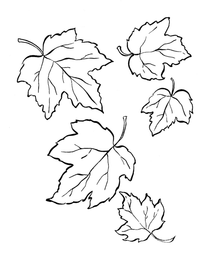 раскраски осенние листья распечатать бесплатно 8