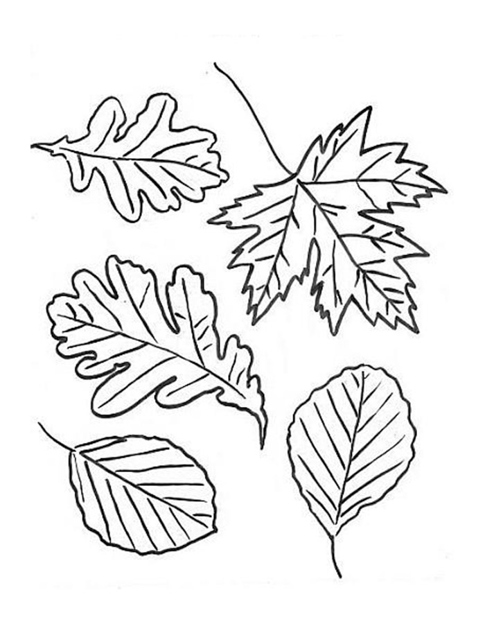 осенние листья раскраска для детей распечатать 2