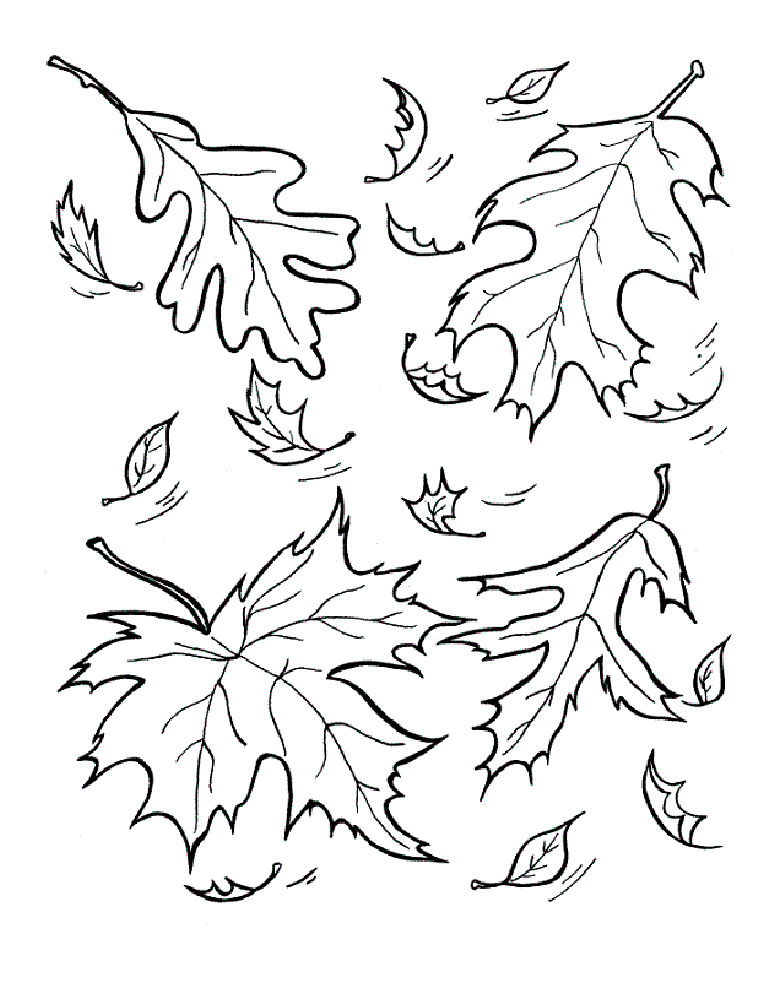 осенние листья раскраска для детей распечатать 4