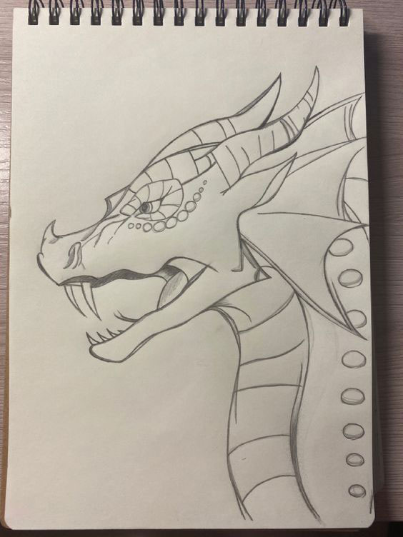 простой рисунок дракона для срисовки 9