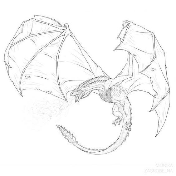 дракон новогодний рисунок для срисовки 6