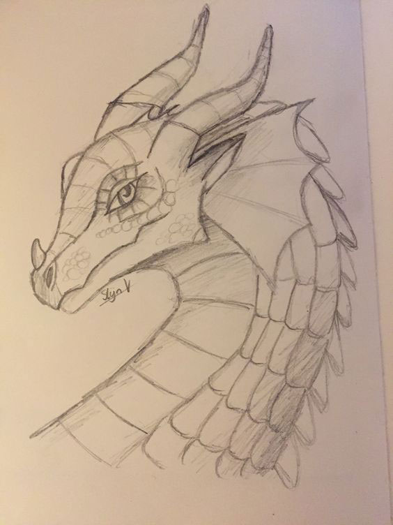 дракон новогодний рисунок для срисовки 5