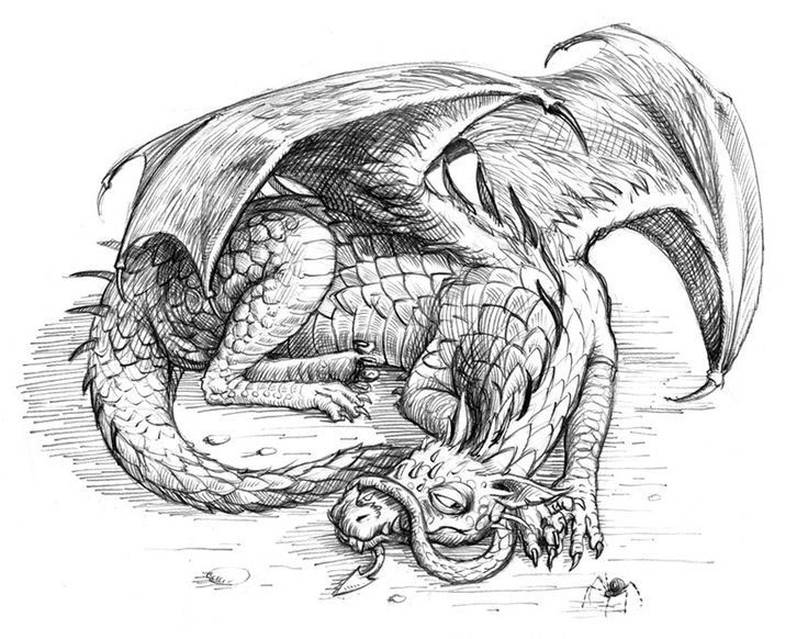рисунки дракон из Гарри Поттера для срисовки