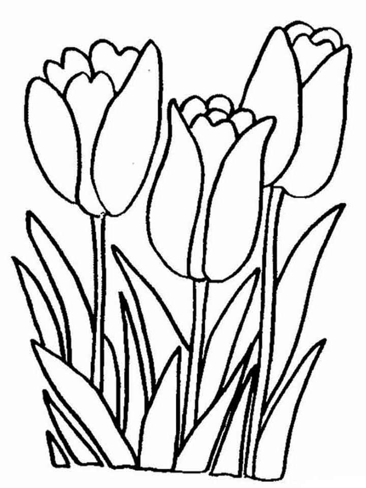 раскраска тюльпаны в вазе для детей 3