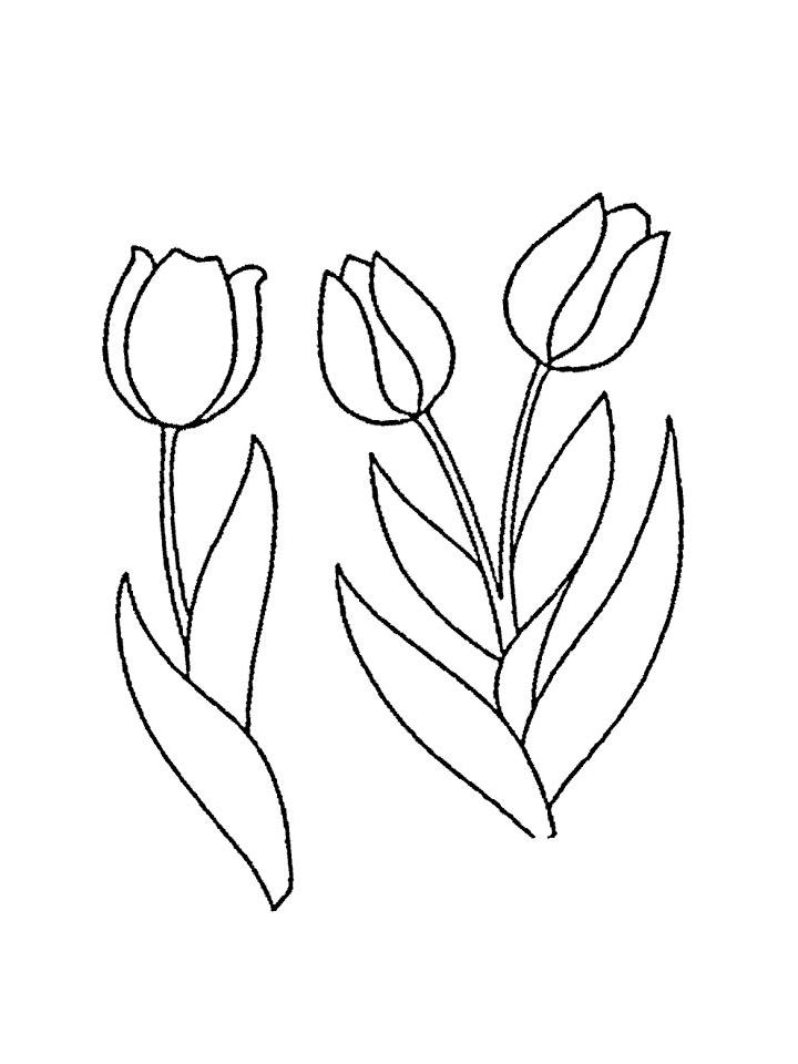 раскраска тюльпаны для детей 5-6 лет распечатать бесплатно 4