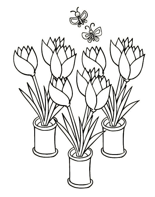 раскраска тюльпаны на 8 марта для детей шаблоны 5