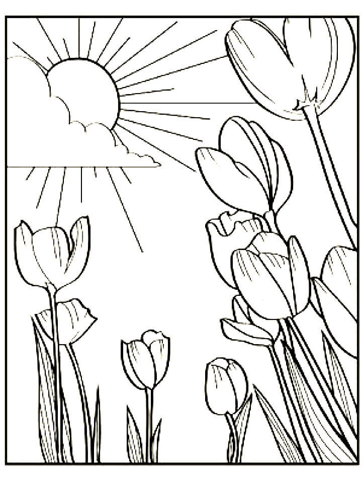 раскраска тюльпаны на 8 марта для детей шаблоны 7