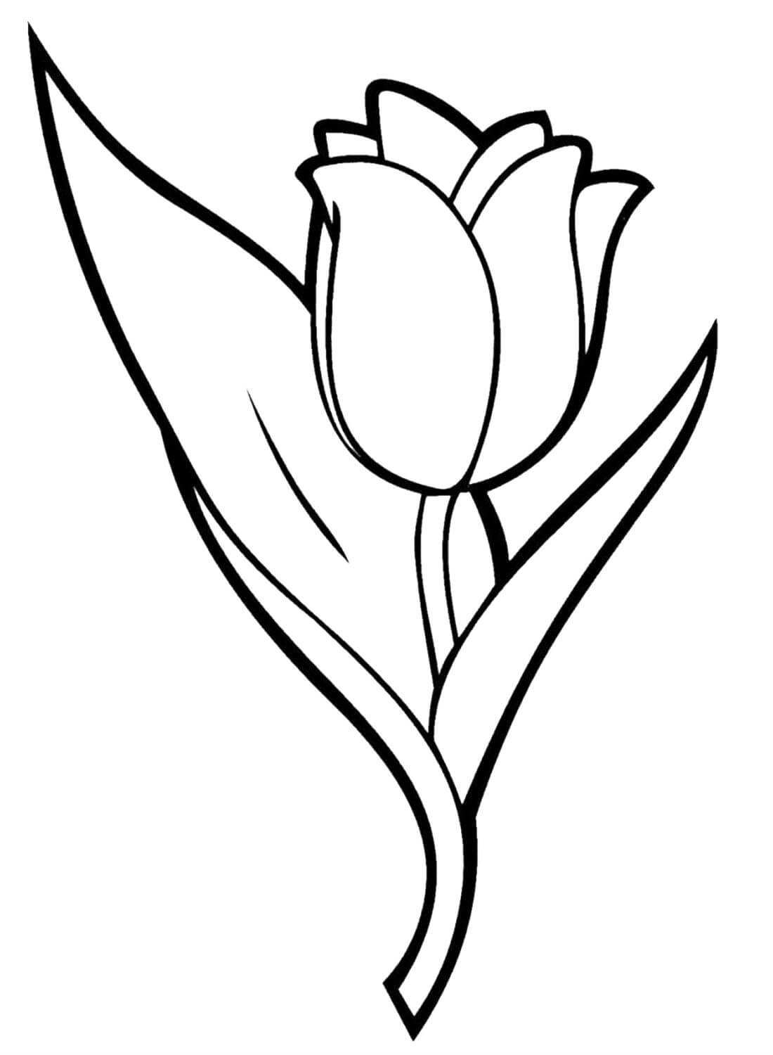 раскраска тюльпаны на 8 марта для детей шаблоны 9