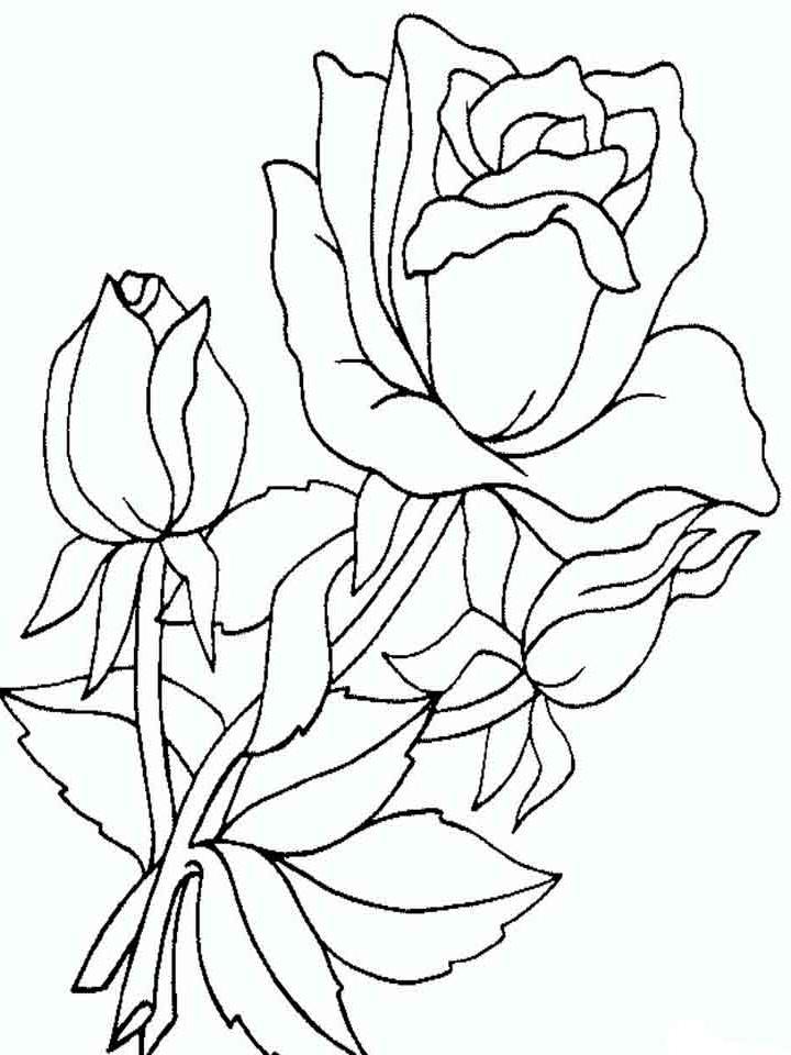цветок роза раскраска для детей распечатать 2
