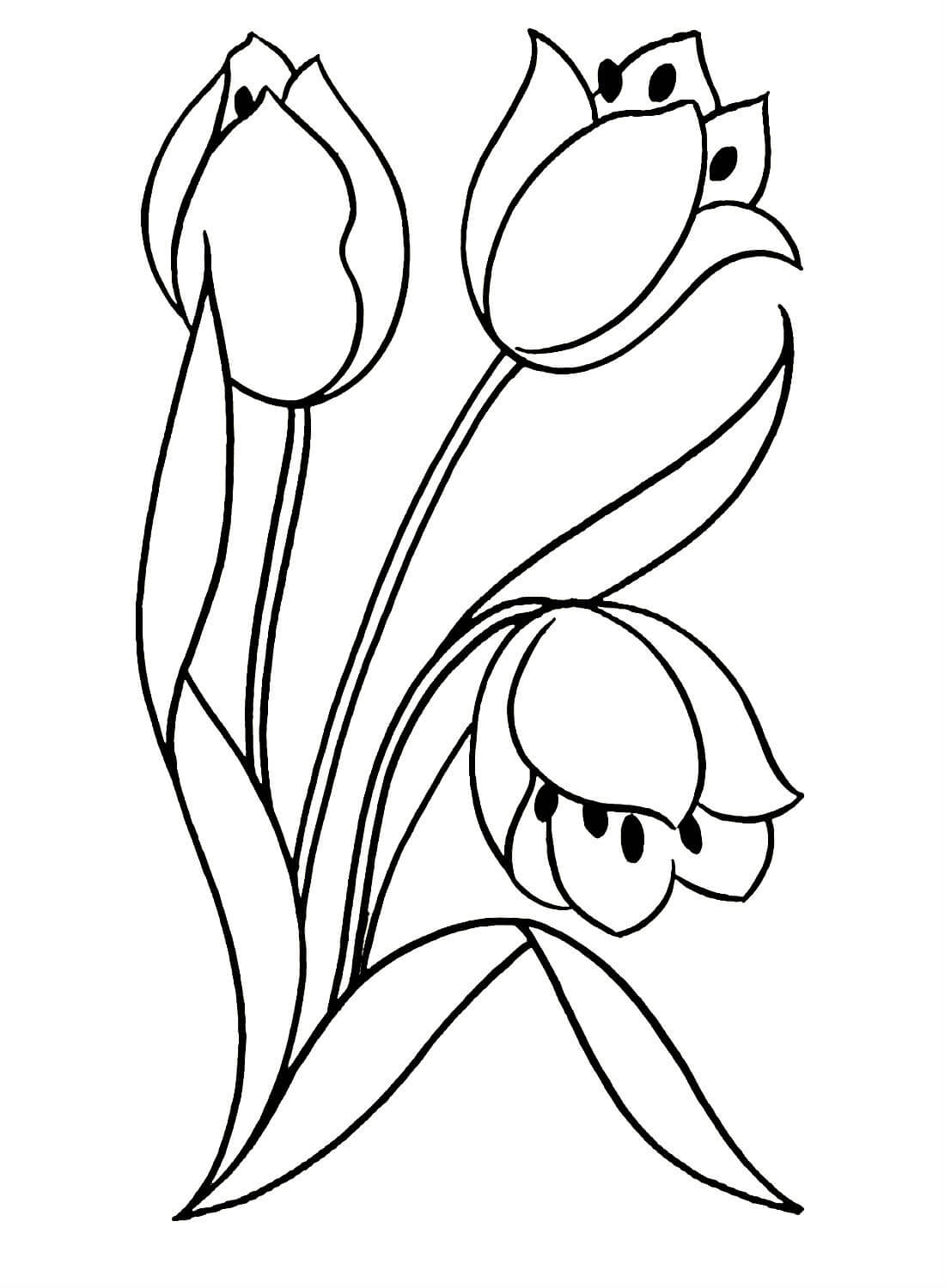 раскраска тюльпаны на 8 марта для детей шаблоны 10