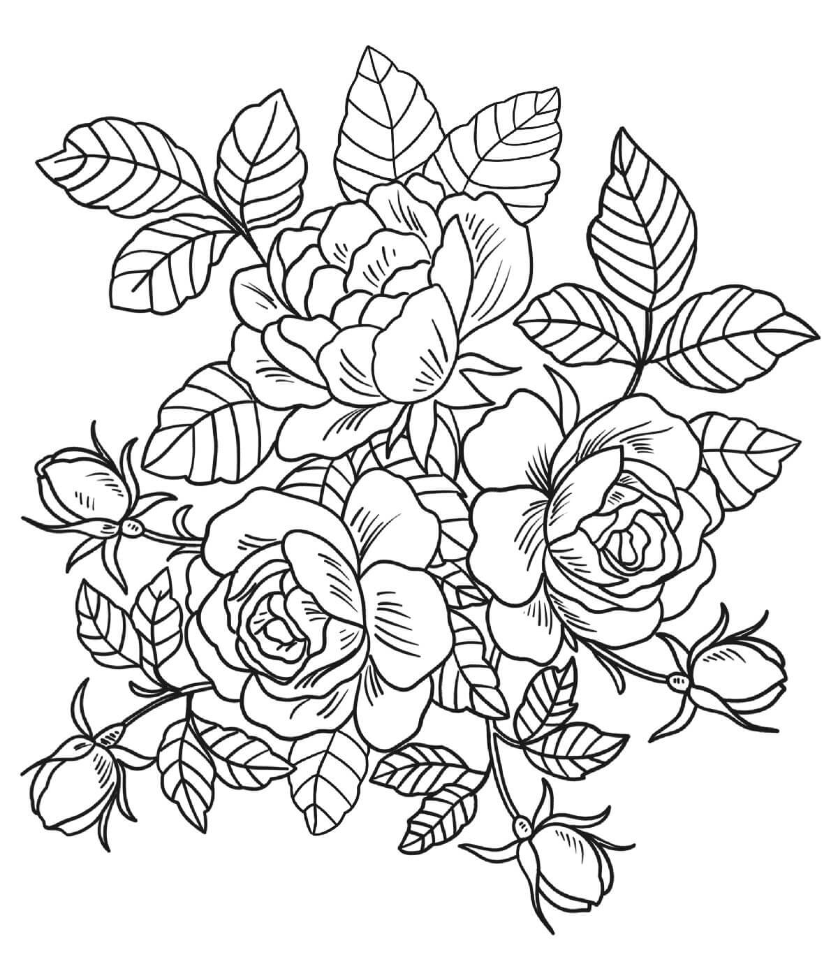раскраска розы букет 9