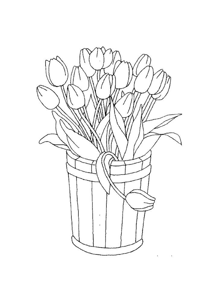 раскраска тюльпаны для детей 5-6 лет распечатать бесплатно 8