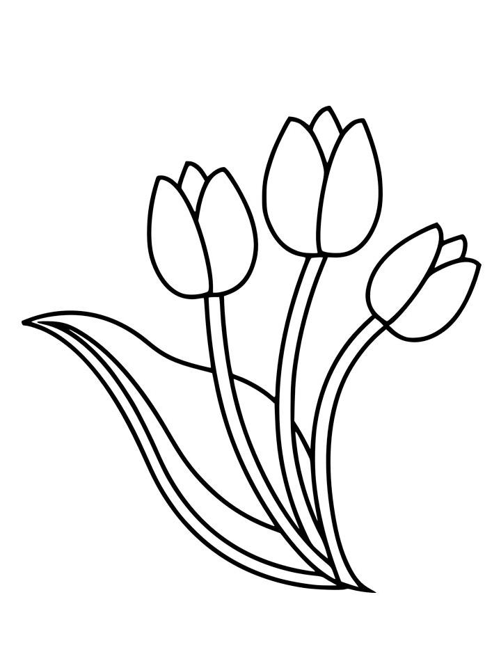 раскраска тюльпаны для детей 6-7 лет 6