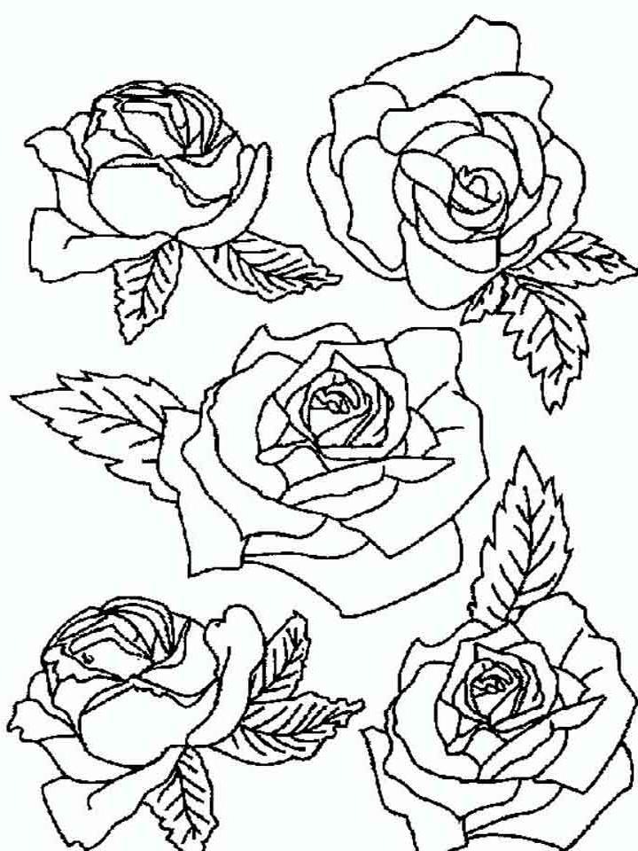 цветок роза раскраска для детей распечатать 4