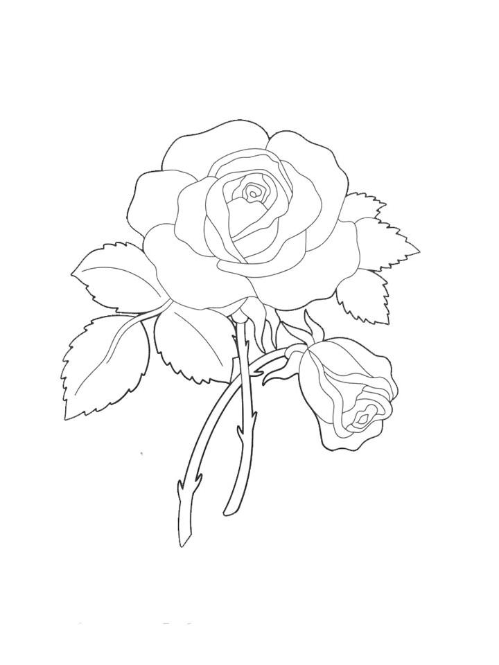 раскраски для детей роза цветок 8