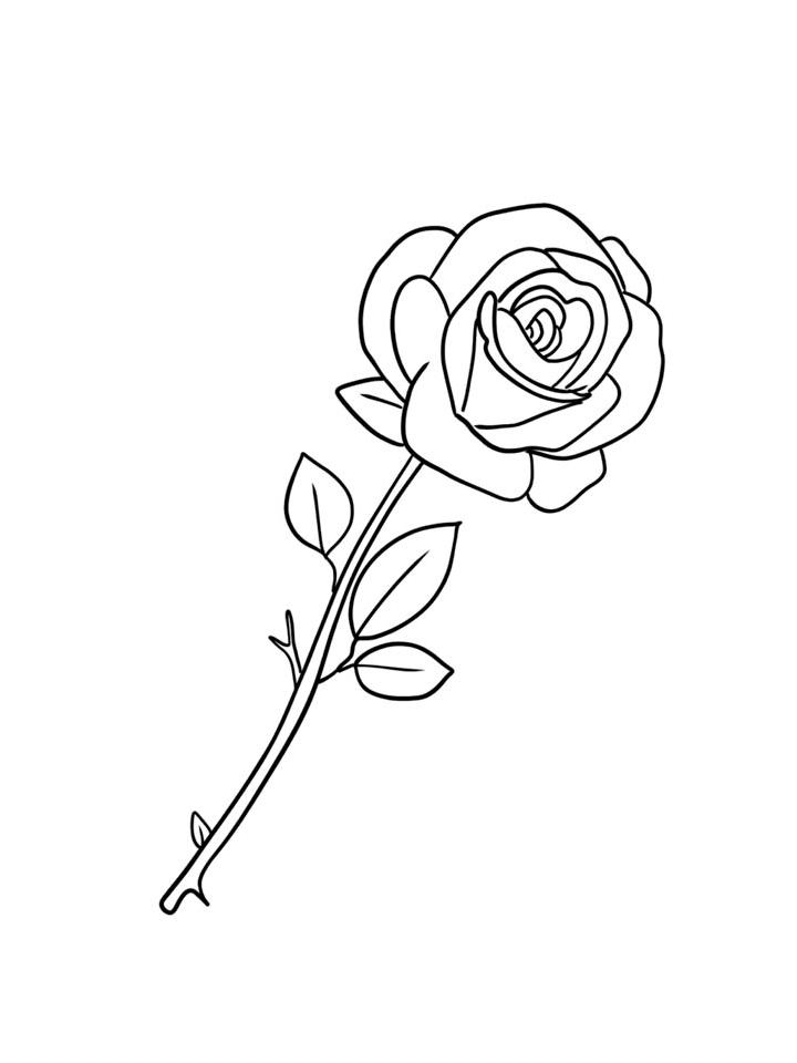 раскраски цветы розы распечатать 6