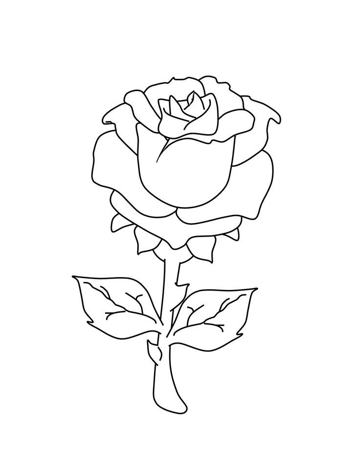 роза картинка для детей раскраска 5