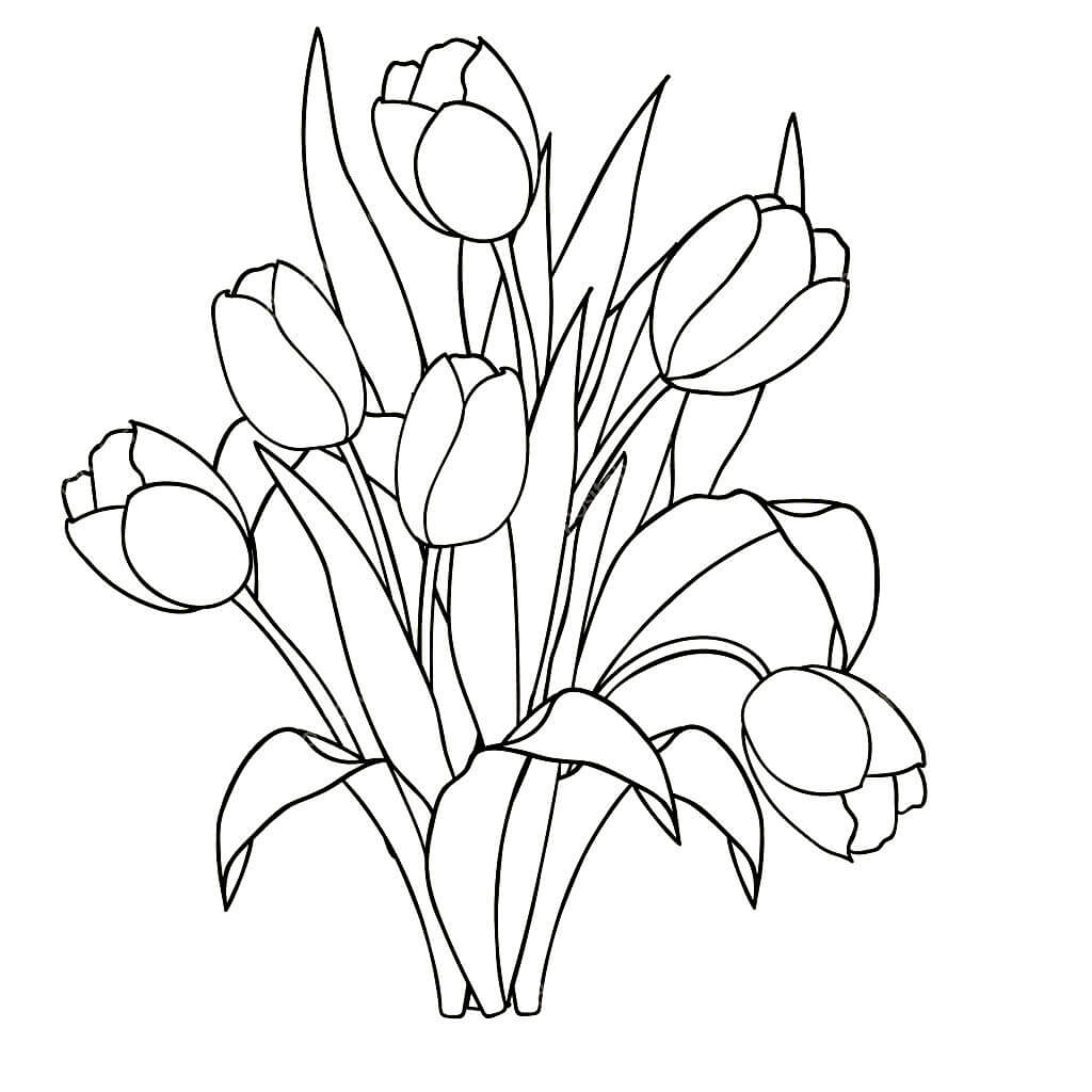 раскраска тюльпаны на 8 марта для детей 10