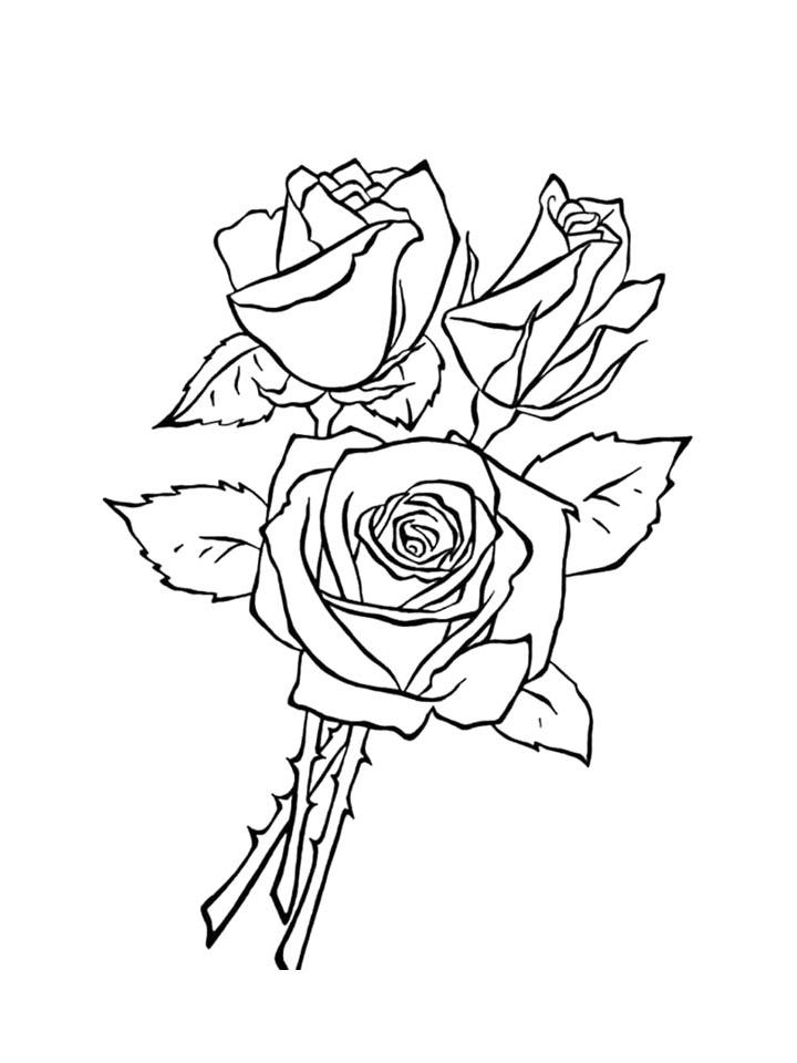 раскраски для детей роза цветок 2