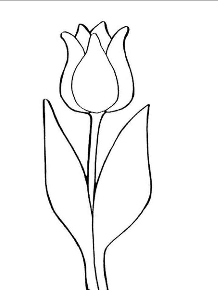 раскраска букет тюльпанов на 8 марта 6
