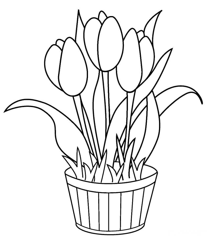 раскраска тюльпаны на 8 марта для детей шаблоны