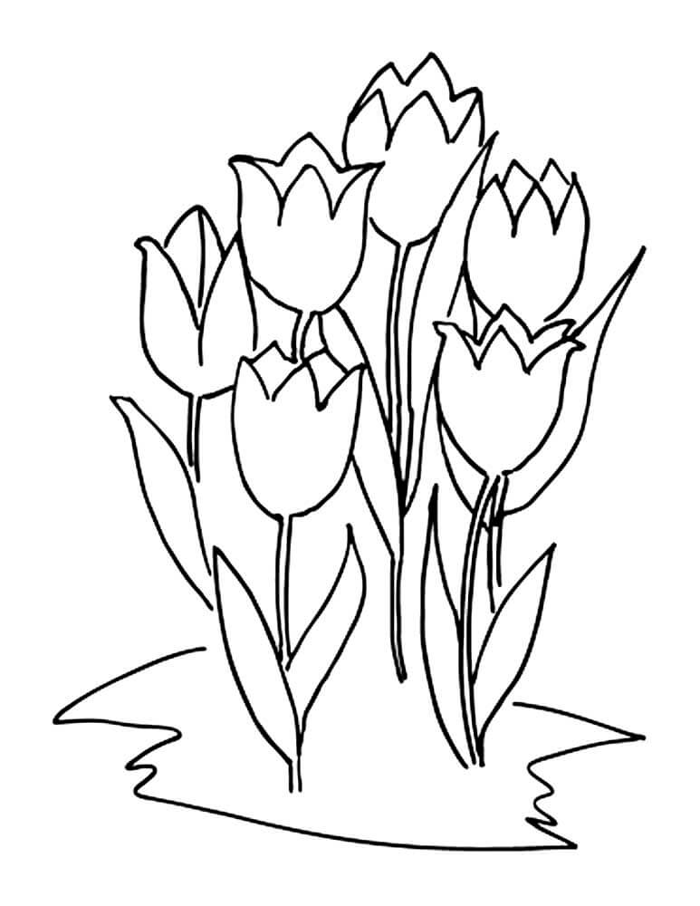 раскраска тюльпаны на 8 марта для детей шаблоны 2