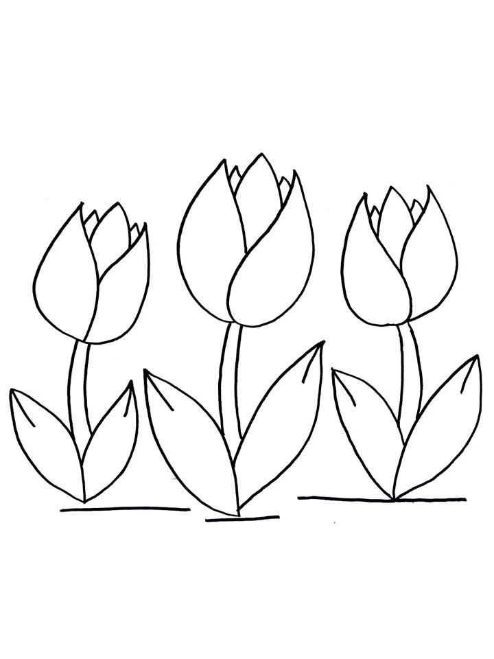 раскраска тюльпаны для детей 5-6 лет распечатать бесплатно 7