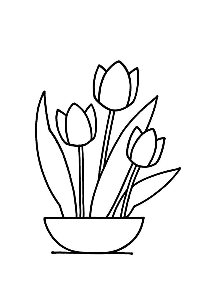 раскраска тюльпаны для детей 4-5 лет 4