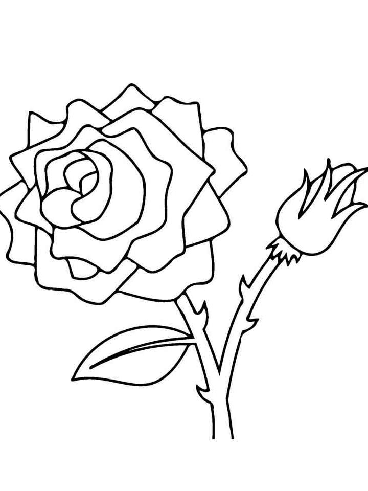 цветок роза раскраска для детей распечатать 7
